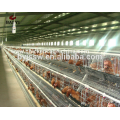 Cages automatiques de batterie de poulet de couche de conception de Hotsale pour la ferme de volaille d&#39;Afrique